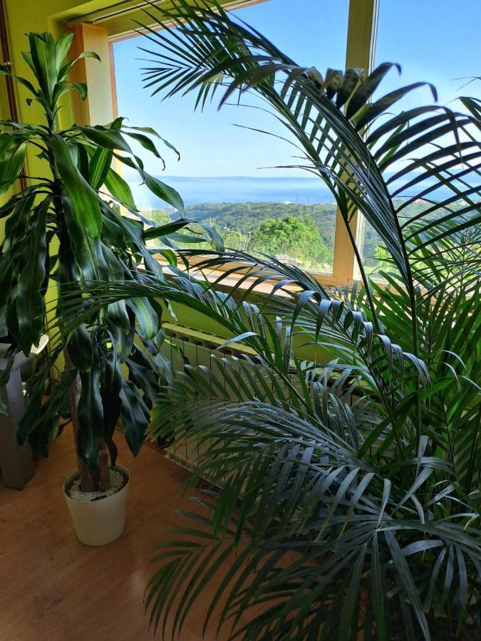 Villa Kuca Za Odmor Vista Mare Marinici  Esterno foto